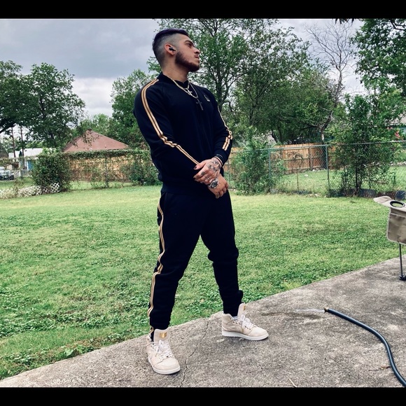 Meet your Posher Jay 🌟🦉 - Picture 2 of 5